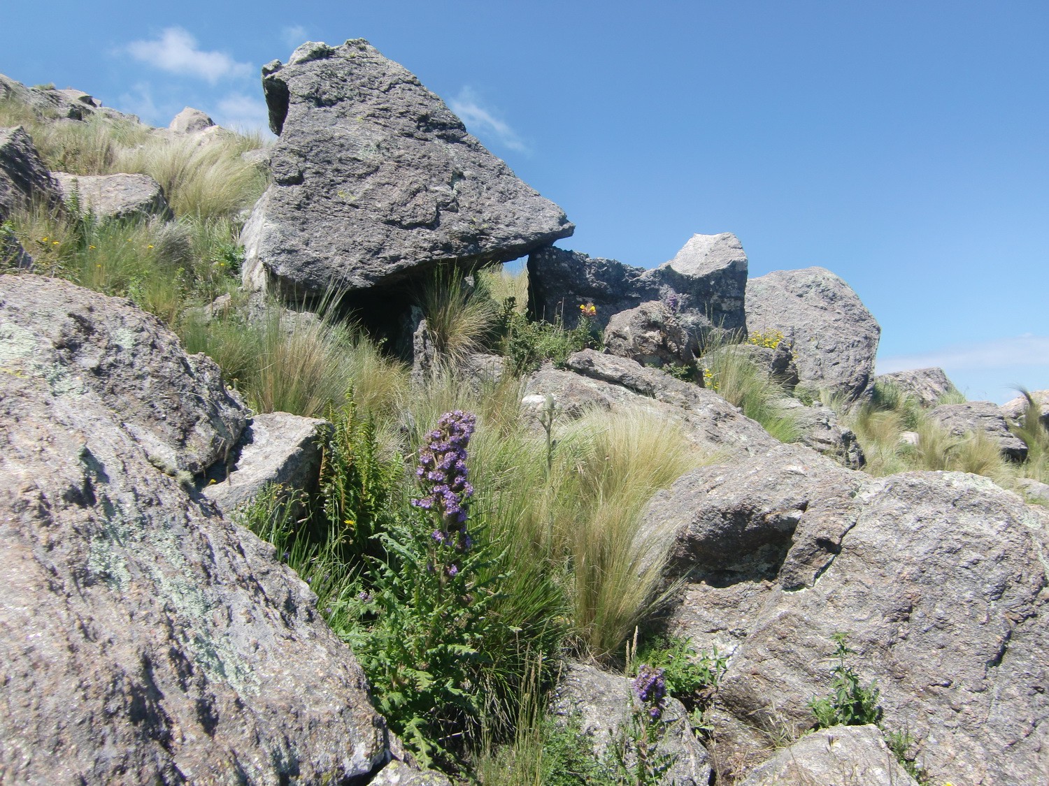 Strange rocks on the way to Cerro Champaqui
